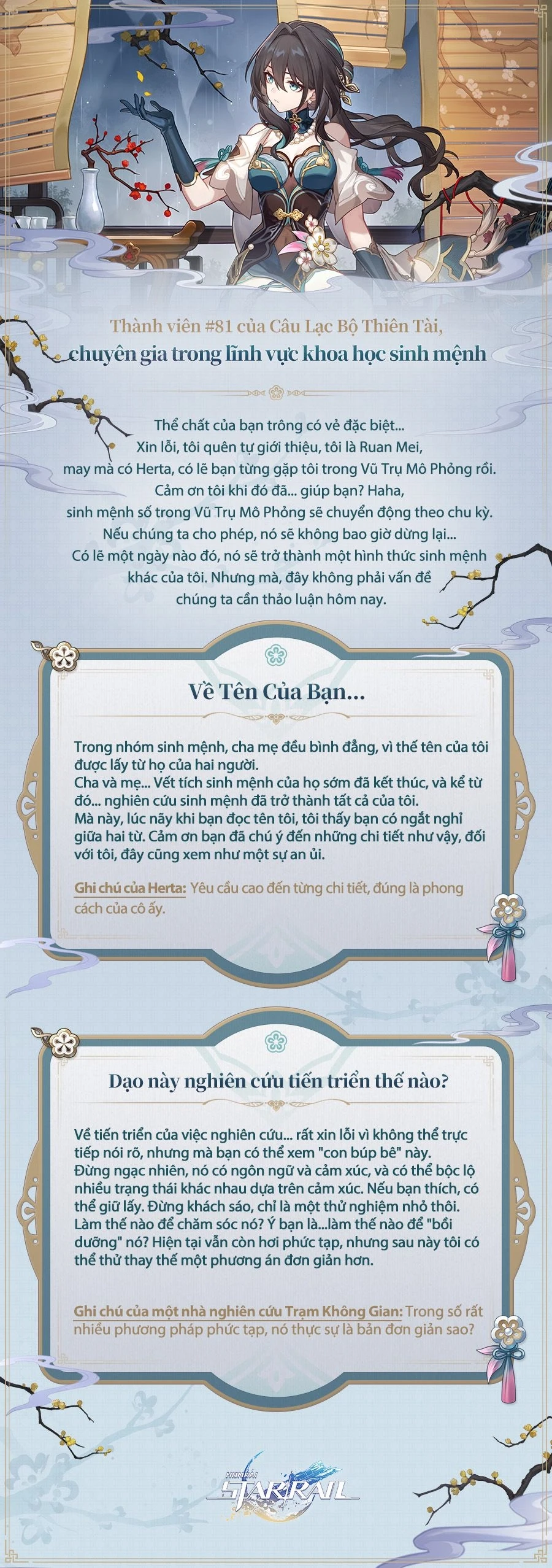 Tổng quan về Ruan Mei